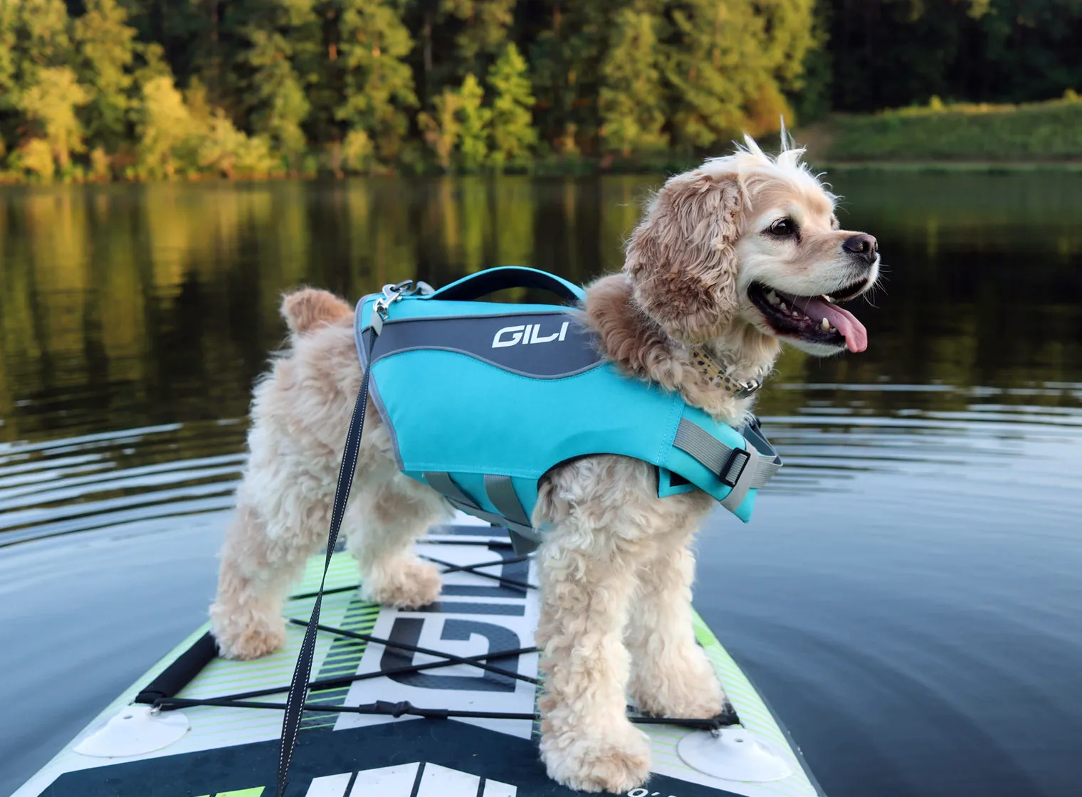 Dog Life Jacket Flotation Device