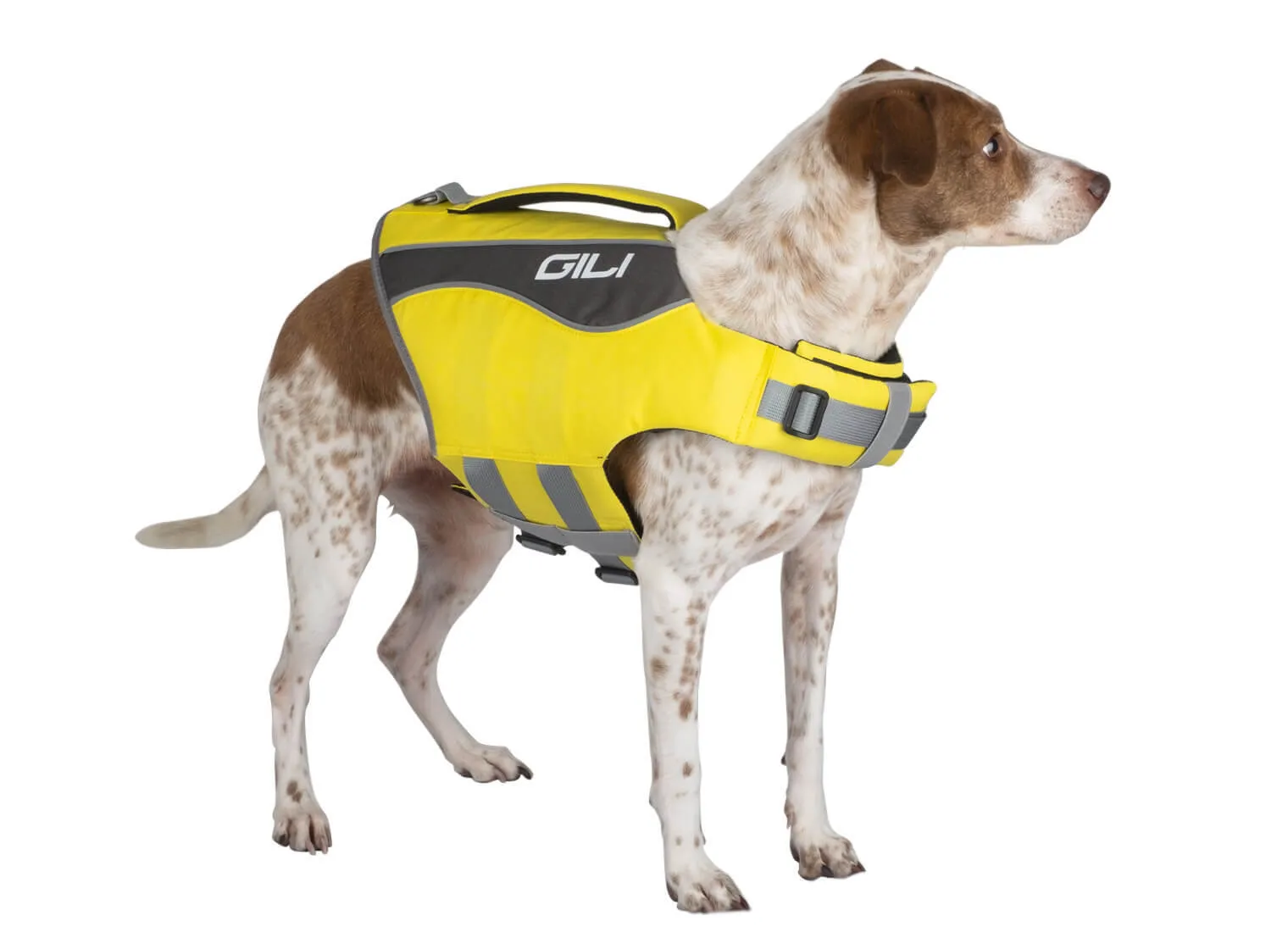 Dog Life Jacket Flotation Device