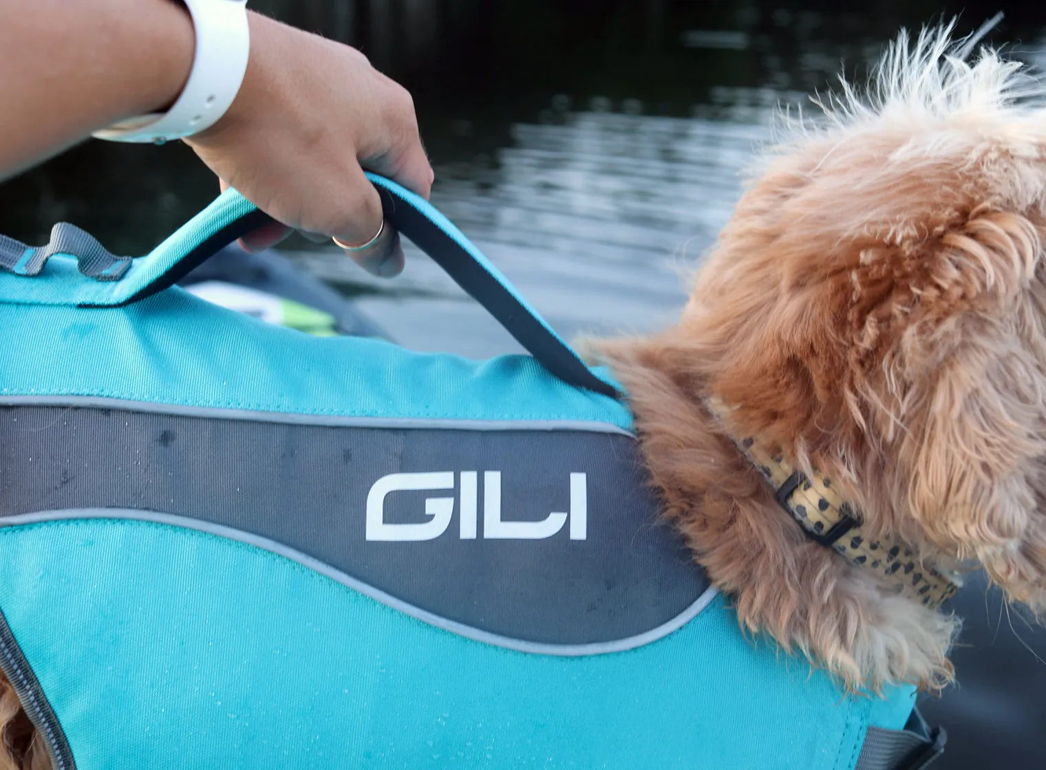 Dog Life Jacket Flotation Device