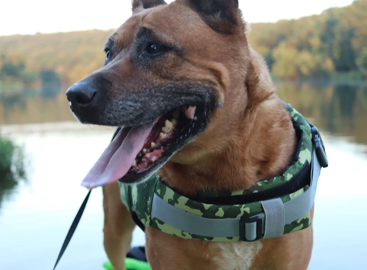 Dog Life Jacket Flotation Device