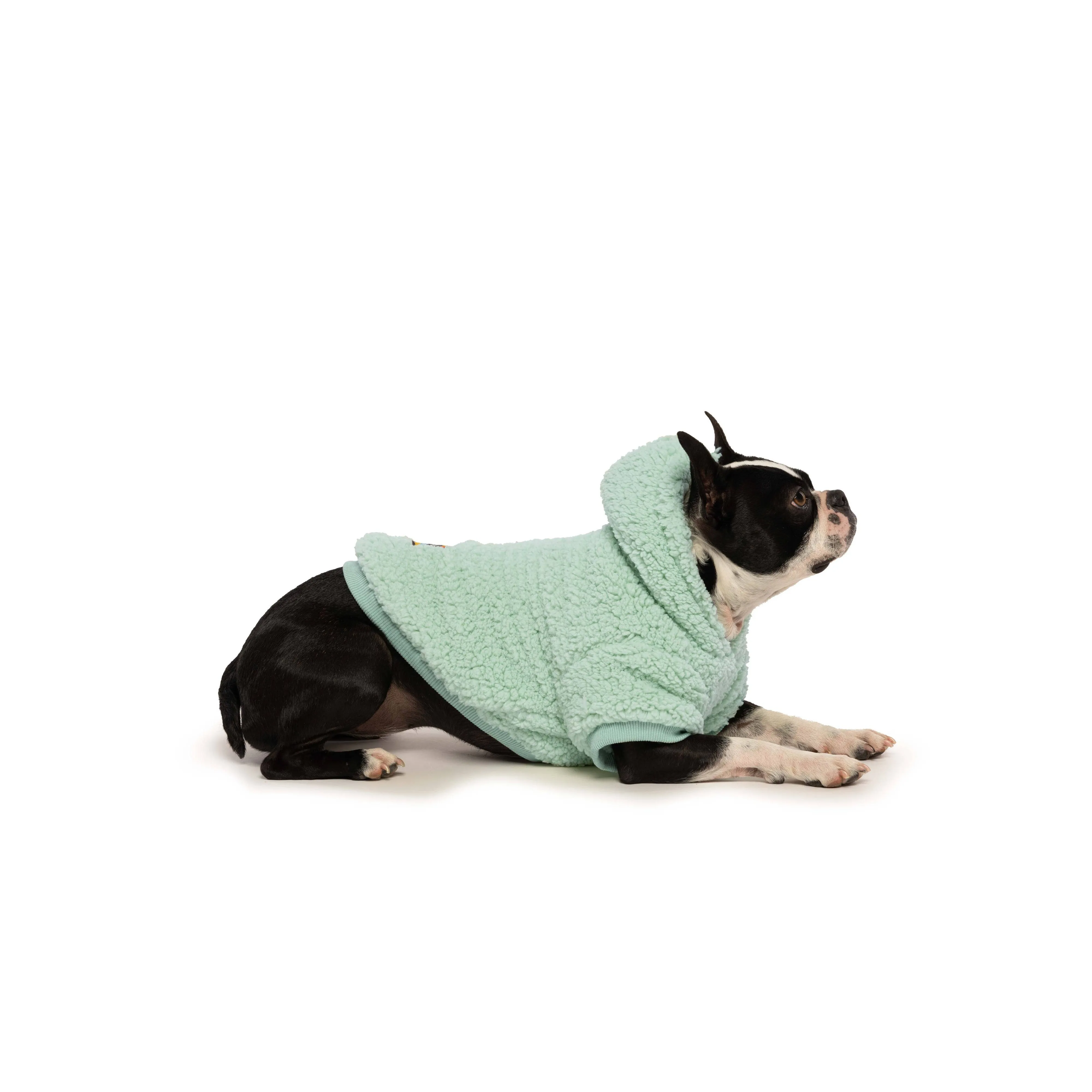 Fabdog | Seafoam Sherpa Dog Hoodie